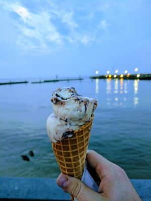 Cold Penguin Ice Cream