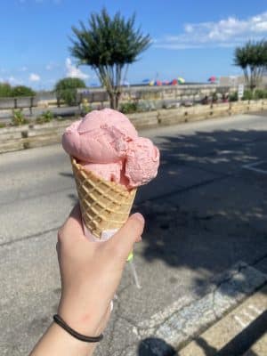Cold Penguin Ice Cream