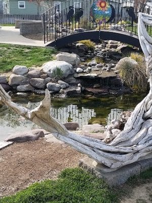 Mark R. Frazer Sunrise Garden