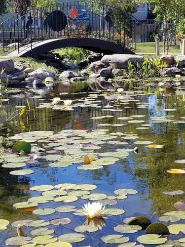 Mark R. Frazer Sunrise Garden