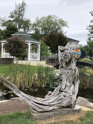Mark R. Frazer Sunrise Garden