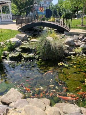 Mark R. Frazer Sunrise Garden