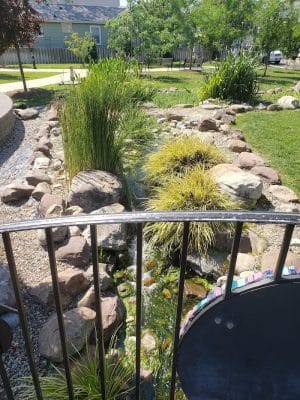 Mark R. Frazer Sunrise Garden
