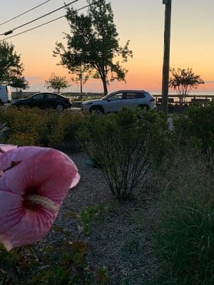 Mark R. Frazer Sunrise Garden