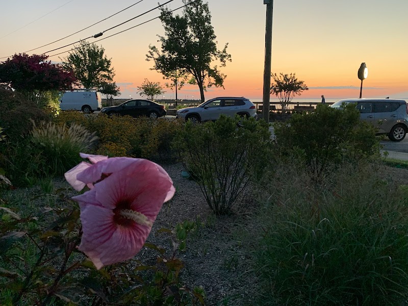 Mark R. Frazer Sunrise Garden - North Beach, MD