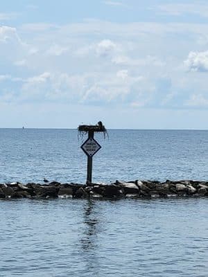 North Beach Pier