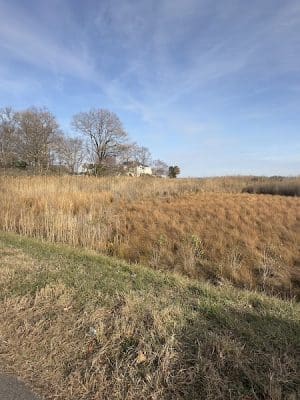 Walton Beach Nature Preserve