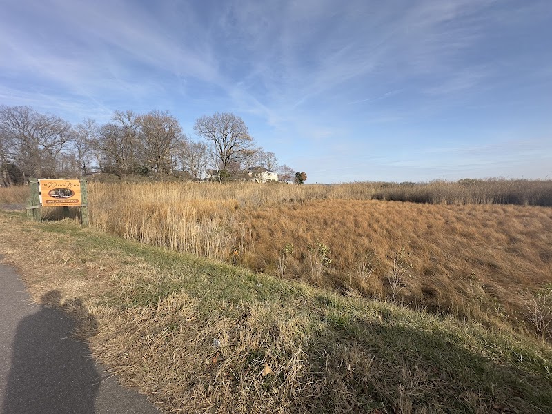 Walton Beach Nature Preserve - North Beach, MD