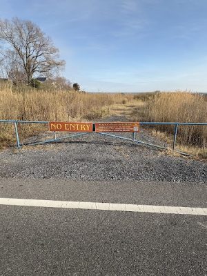 Walton Beach Nature Preserve