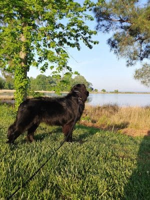 Wetlands Overlook Park