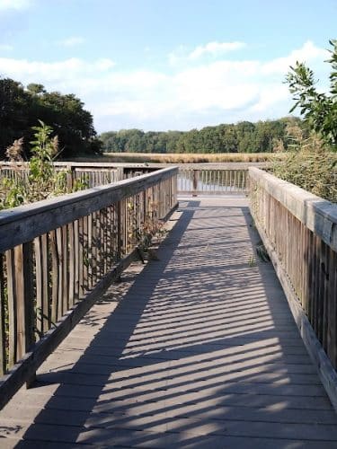 Wetlands Overlook Park