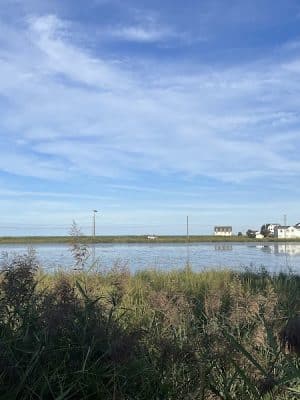 Wetlands Overlook Park