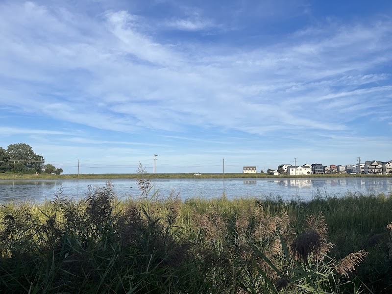 Wetlands Overlook Park - North Beach, MD