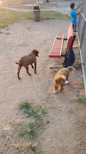 Dog Park