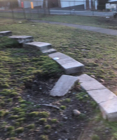 Dog Park