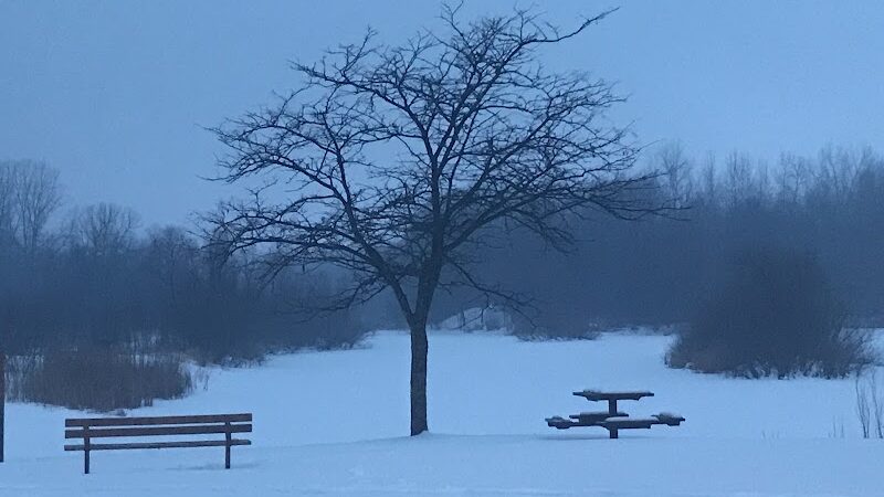 Checkerboard Dog Park - North Branch,