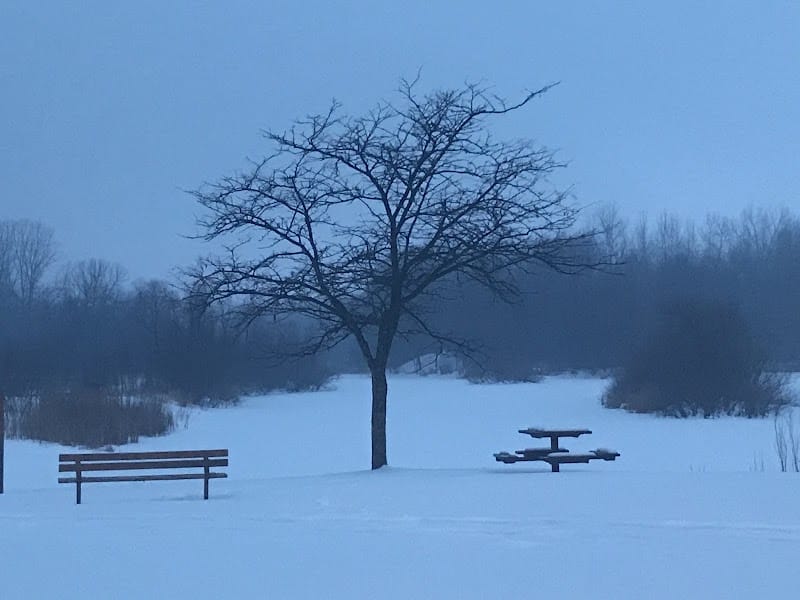 Checkerboard Dog Park - North Branch, MN