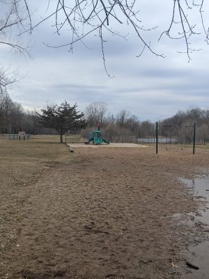Checkerboard Dog Park