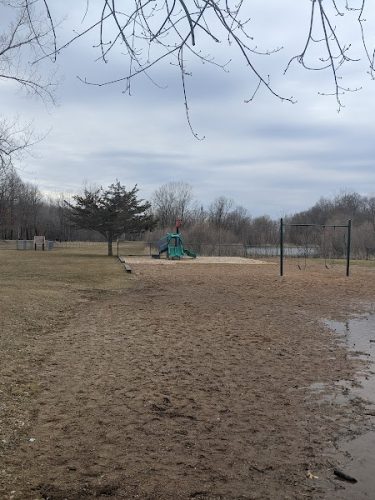 Checkerboard Dog Park