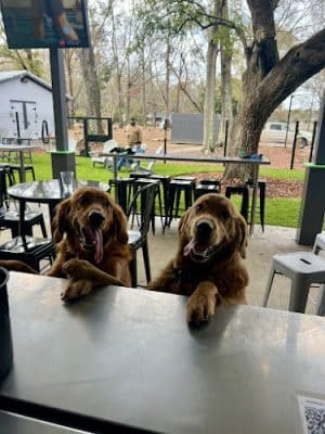 Broken Leash Dog Park & Bar