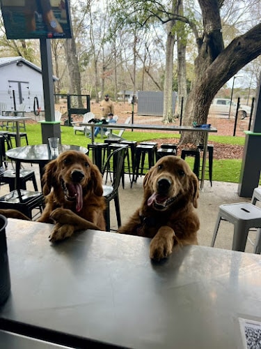 Broken Leash Dog Park & Bar