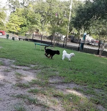Mixson Avenue Dog Park