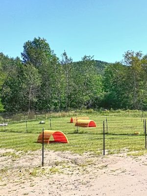 North Creek/Johnsburg Dog Park - North Creek, NY