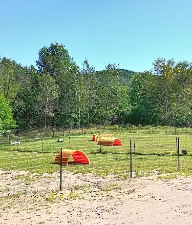 North Creek/Johnsburg Dog Park - North Creek, NY