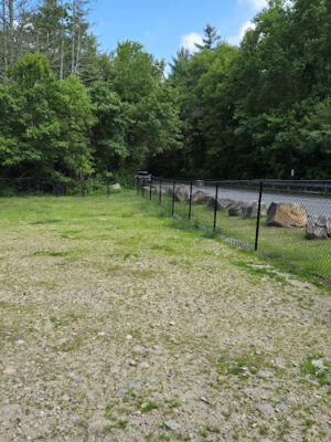 Dartmouth Dog Park
