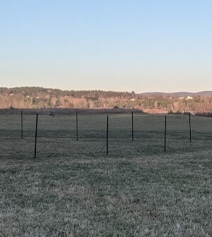 Monkton Community Dog Park