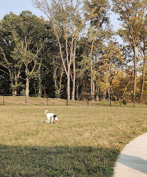 Red Fern Dog Park (membership required) - CLOSED JUNE 2-JULY 14, 2025 FOR CONSTRUCTION