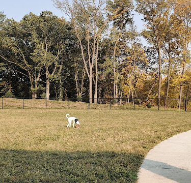 Red Fern Dog Park (membership required) - CLOSED JUNE 2-JULY 14, 2025 FOR CONSTRUCTION