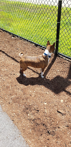 Oxford Dog Park