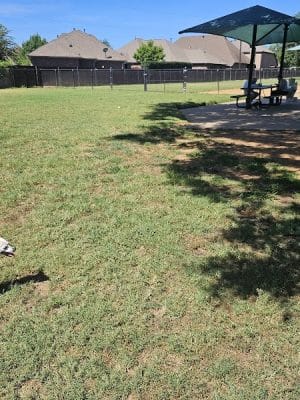 NRH Tipps Canine Hollow Dog Park