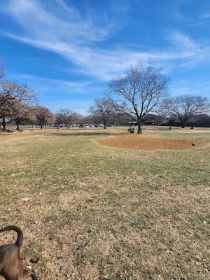 NRH Tipps Canine Hollow Dog Park