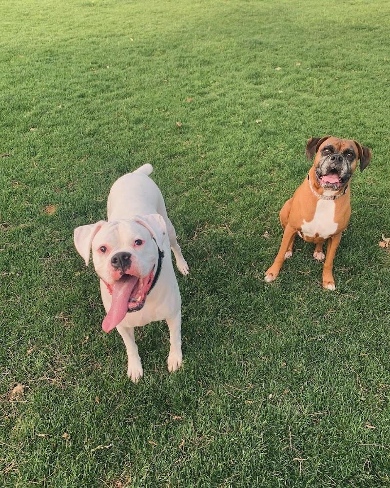 NRH Tipps Canine Hollow Dog Park - North Richland Hills, TX