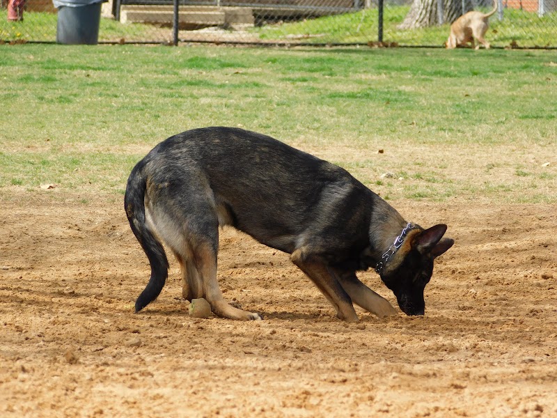 NRH Tipps Canine Hollow Dog Park - North Richland Hills, TX