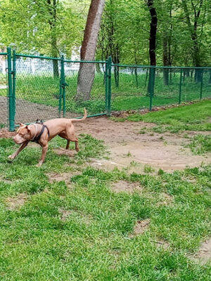 Dakota Dunes Dog Park