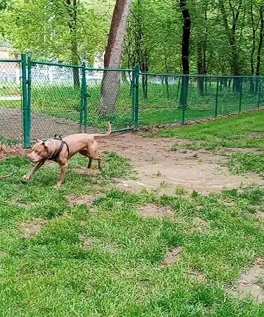 Dakota Dunes Dog Park