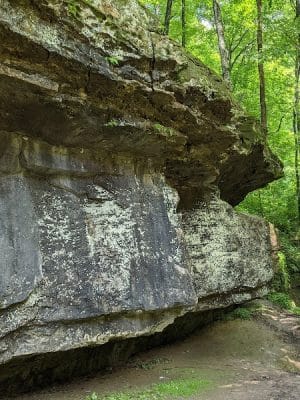 Muscatatuck Park