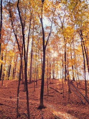 Muscatatuck Park