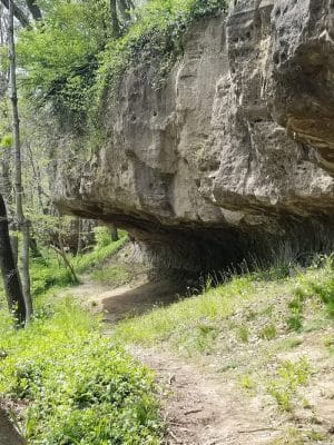 Muscatatuck Park