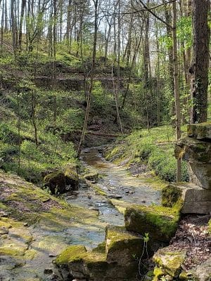 Muscatatuck Park