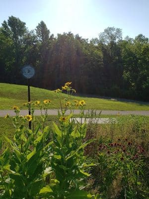 Tripton Park