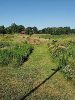 Tripton Park
