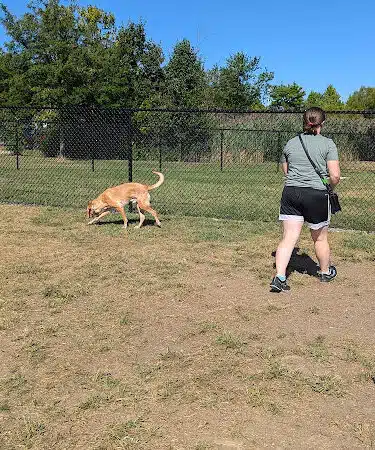Knapp Road Bark Park