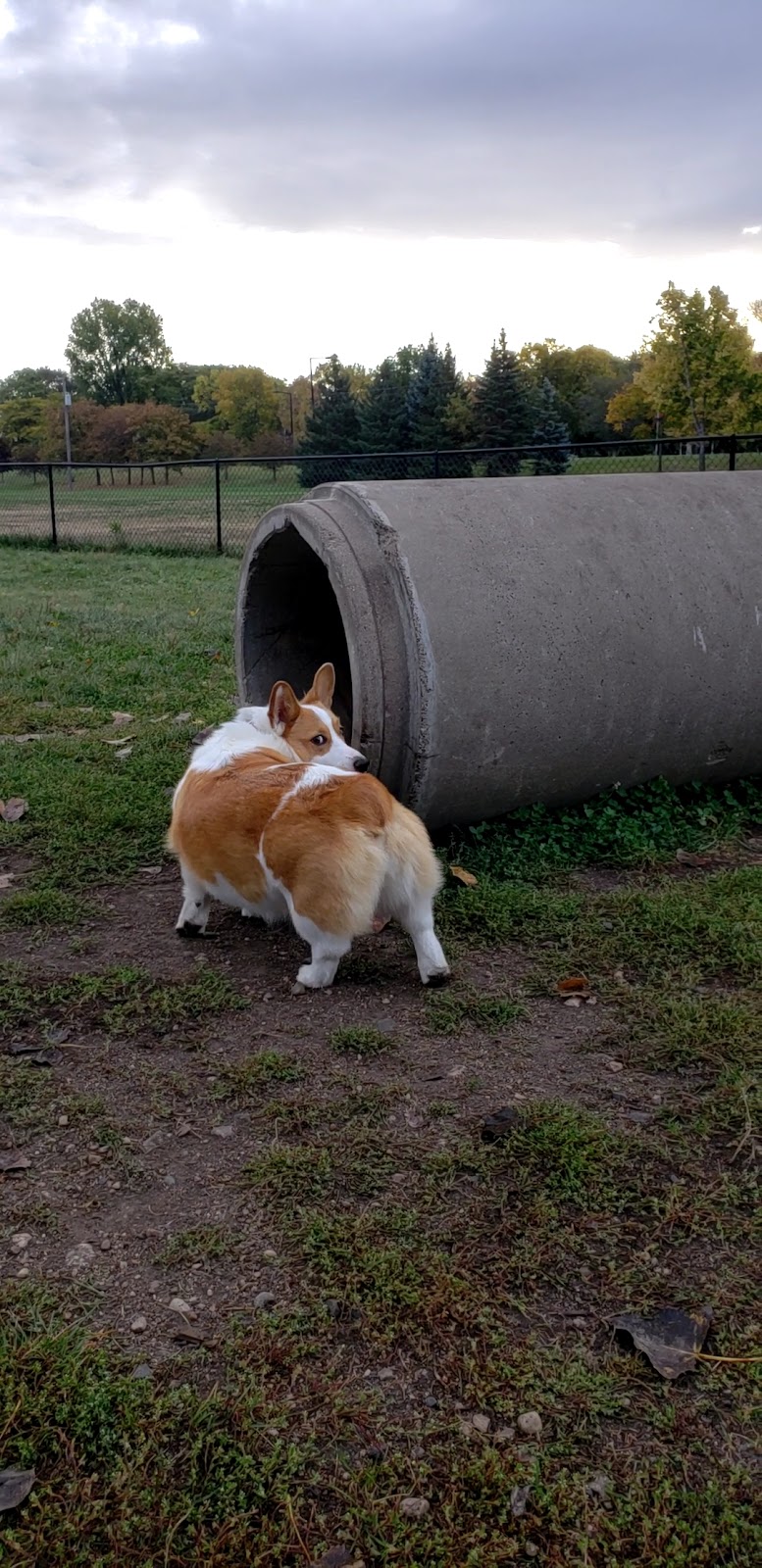 Northfield Dog Park - Northfield, MN
