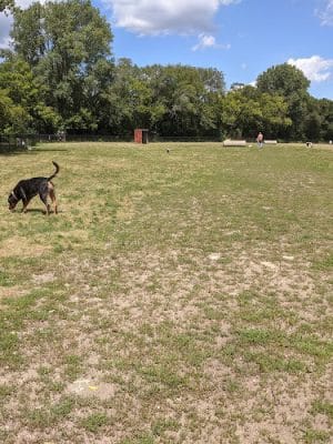 Northfield Dog Park