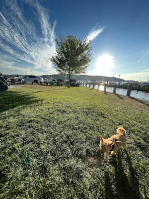 Cow Harbor Park