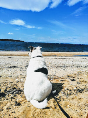 Hobart Beach Park